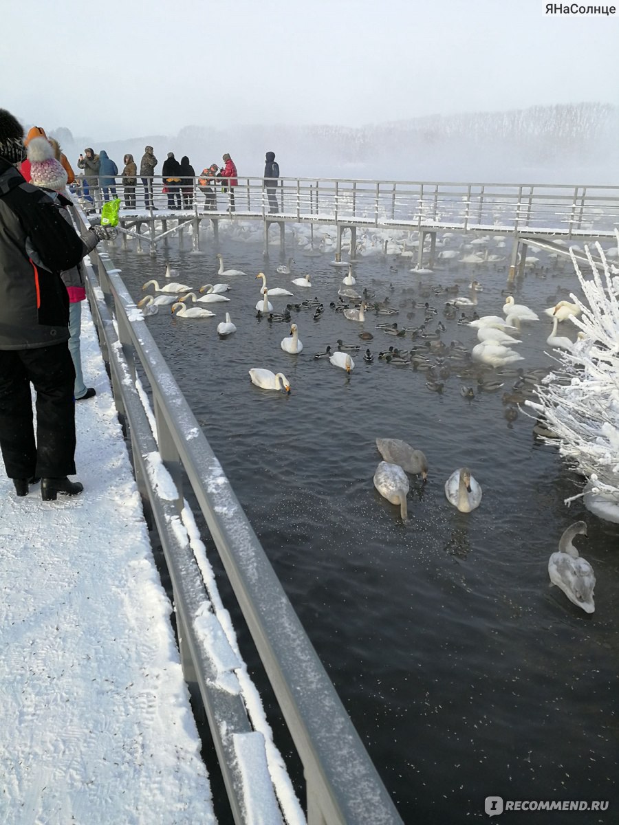 Вид направо с мостика, ближе к берегу озера