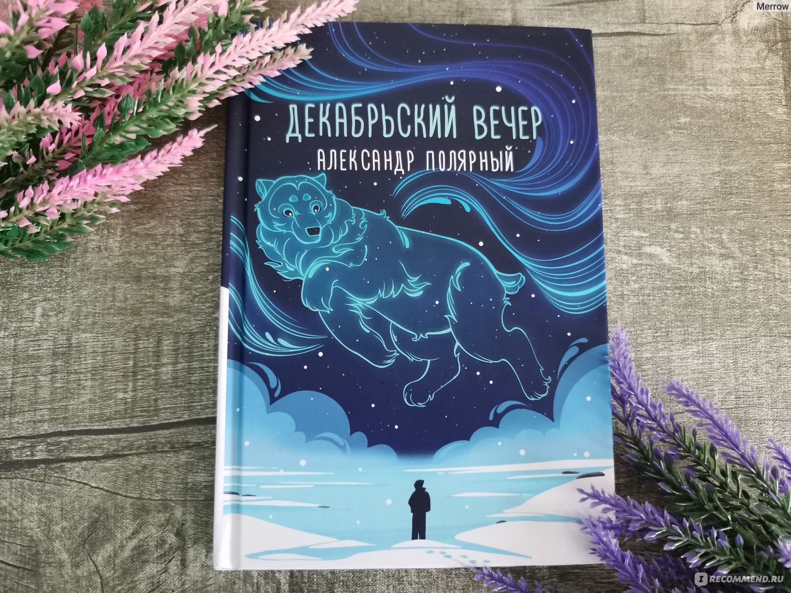 Декабрьский вечер. Александр Полярный - «Путь к себе через льды Арктики -  Декабрьский Вечер Александра Полярного обжигает холодом и заставляет  задуматься» | отзывы