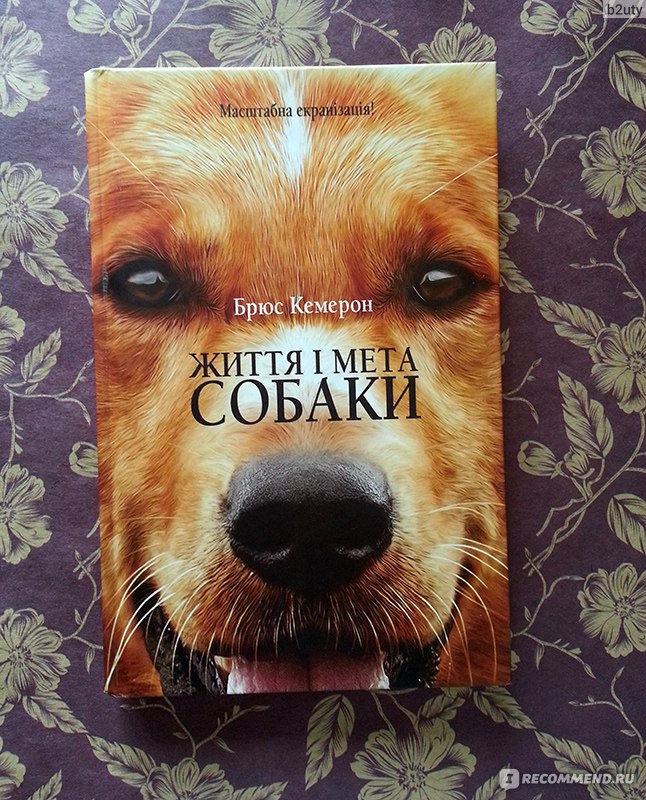 Брюс кэмерон. Жизнь и цель собаки Брюс Кэмерон книга. Собачья жизнь книга Брюс Кэмерон. Книга с собакой на обложке. Книга жизнь собаки.