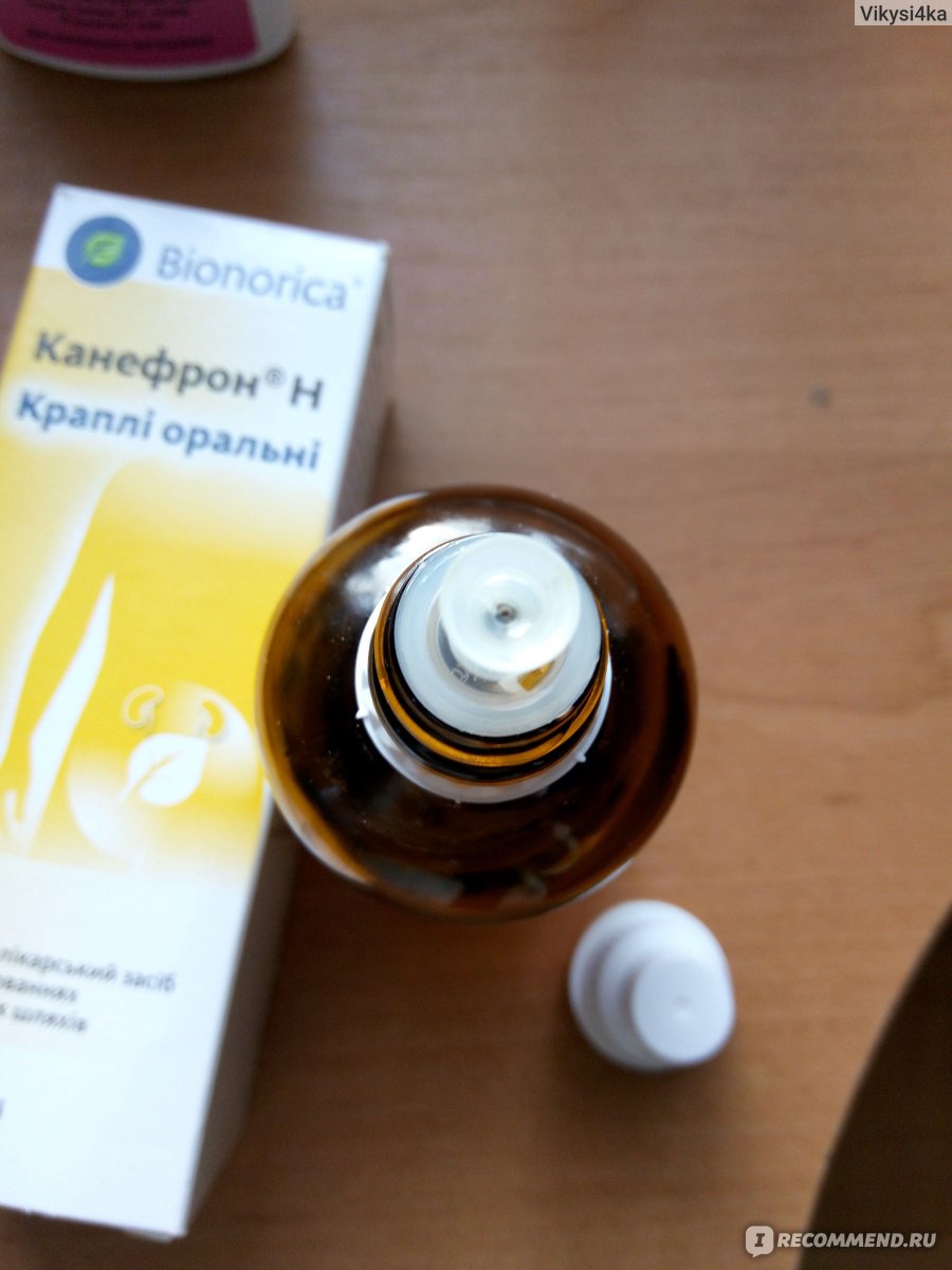 Раствор Bionorica КАНЕФРОН Н (CANEPHRON N) - «Что лучше — капли или  таблетки? Прием при ГВ — реакция малыша. Лечение цистита и пиелонефрита  после родов. » | отзывы