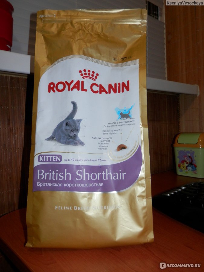 Royal canin british. Роял Канин Бритиш шерсть. Корм Роял Канин для британцев. Роял Канин Бритиш 13 кг. Royal Canin гранулы для британцев.