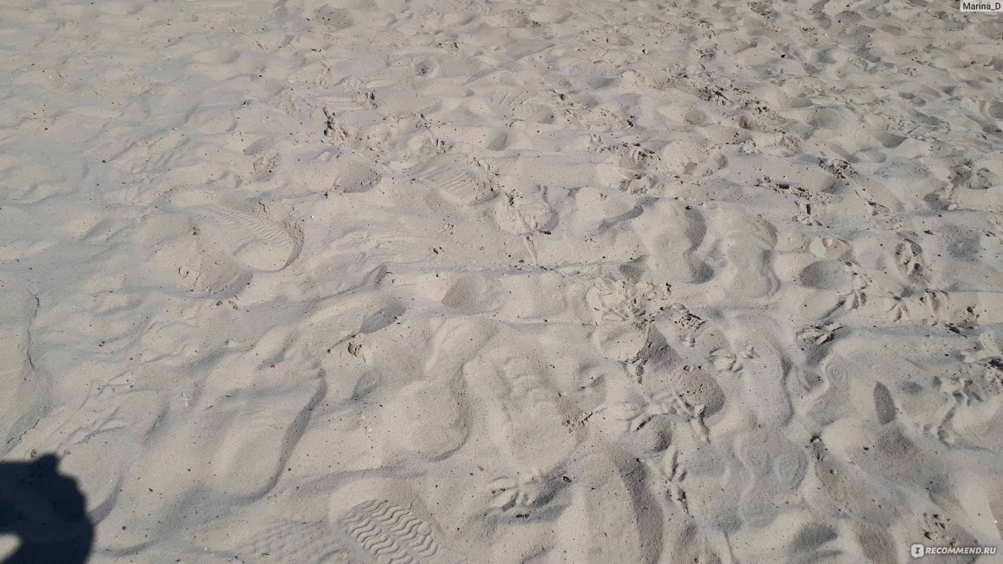 Где на Сенежском озере сделали пляж с завозным белым песком