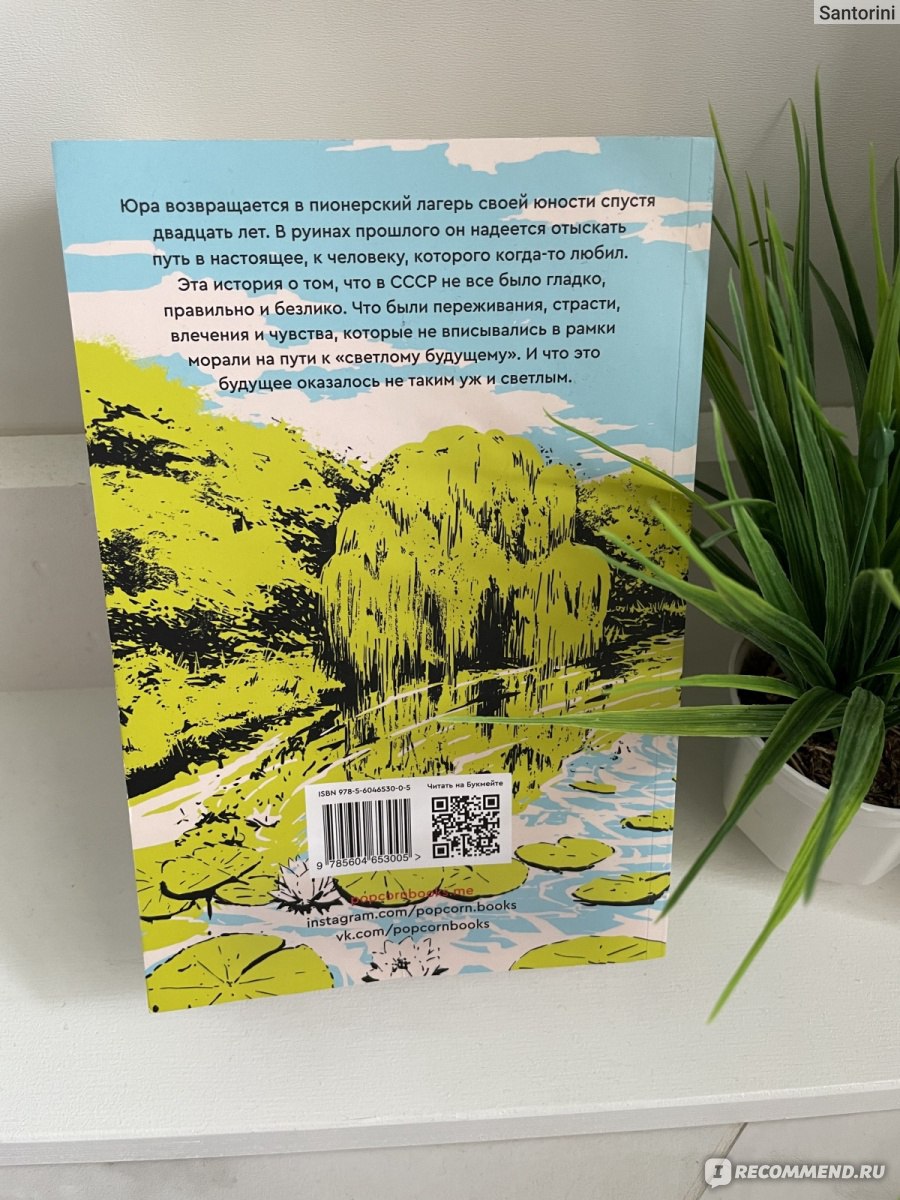 Лето в галстуке книга. Лето в Пионерском галстуке Катерина Сильванова. Лето в Пионерском галстуке книга купить читай город.