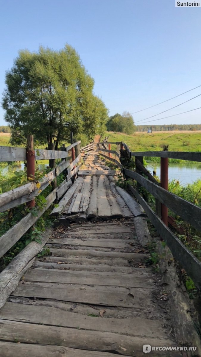 Село Филипповское, Владимирская область - «Филипповское - очень душевное  село с живописными полями люпинов! » | отзывы