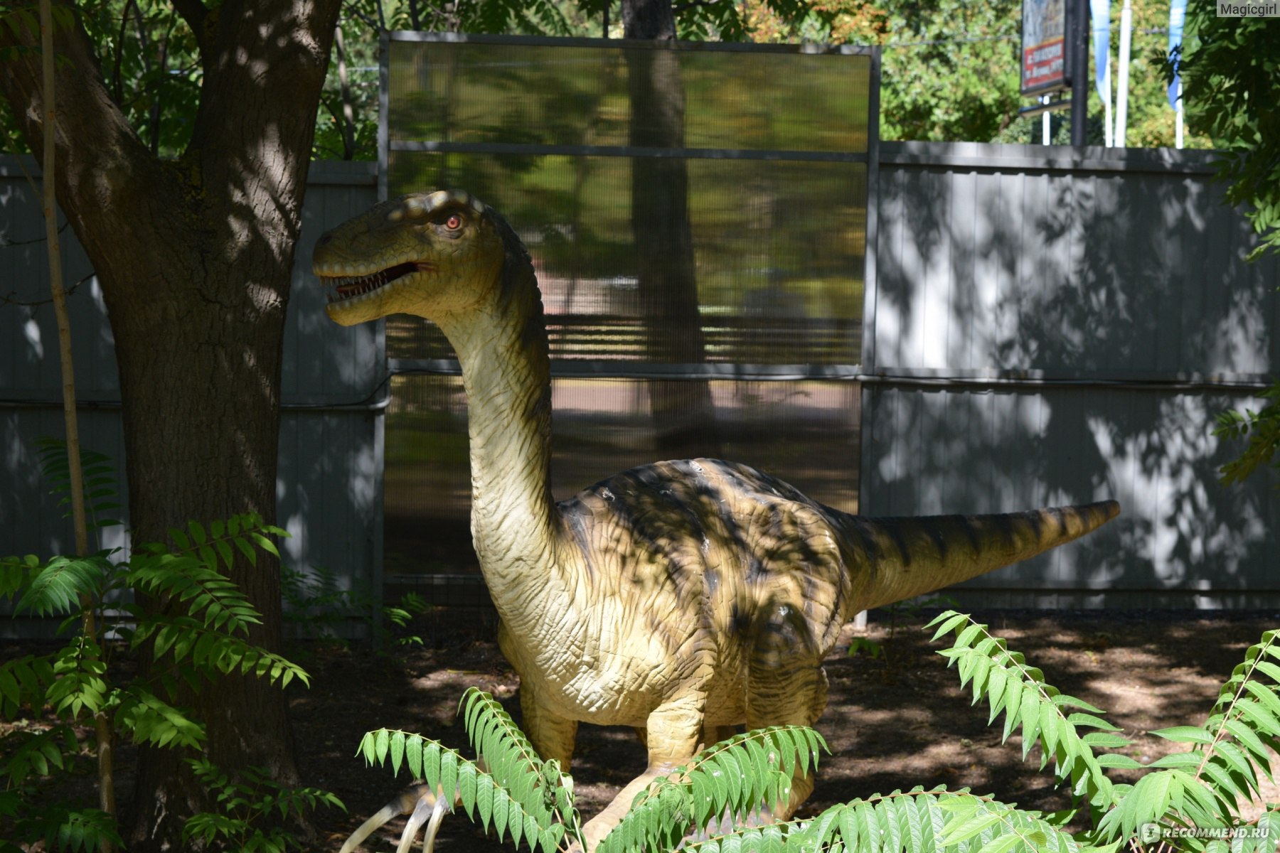 парк динозавров геленджик