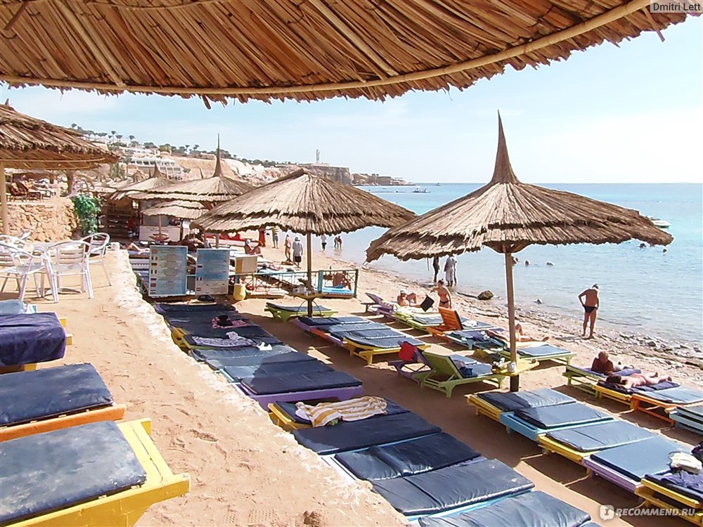 Шарм клиф. Отель Шарм Клиф Резорт Шарм-Эль-Шейх. Отель Sharm Cliff Resort 4*. Sharm Cliff Resort 3 Египет Шарм-Эль-Шейх. Sharm Cliff Resort 3* море.