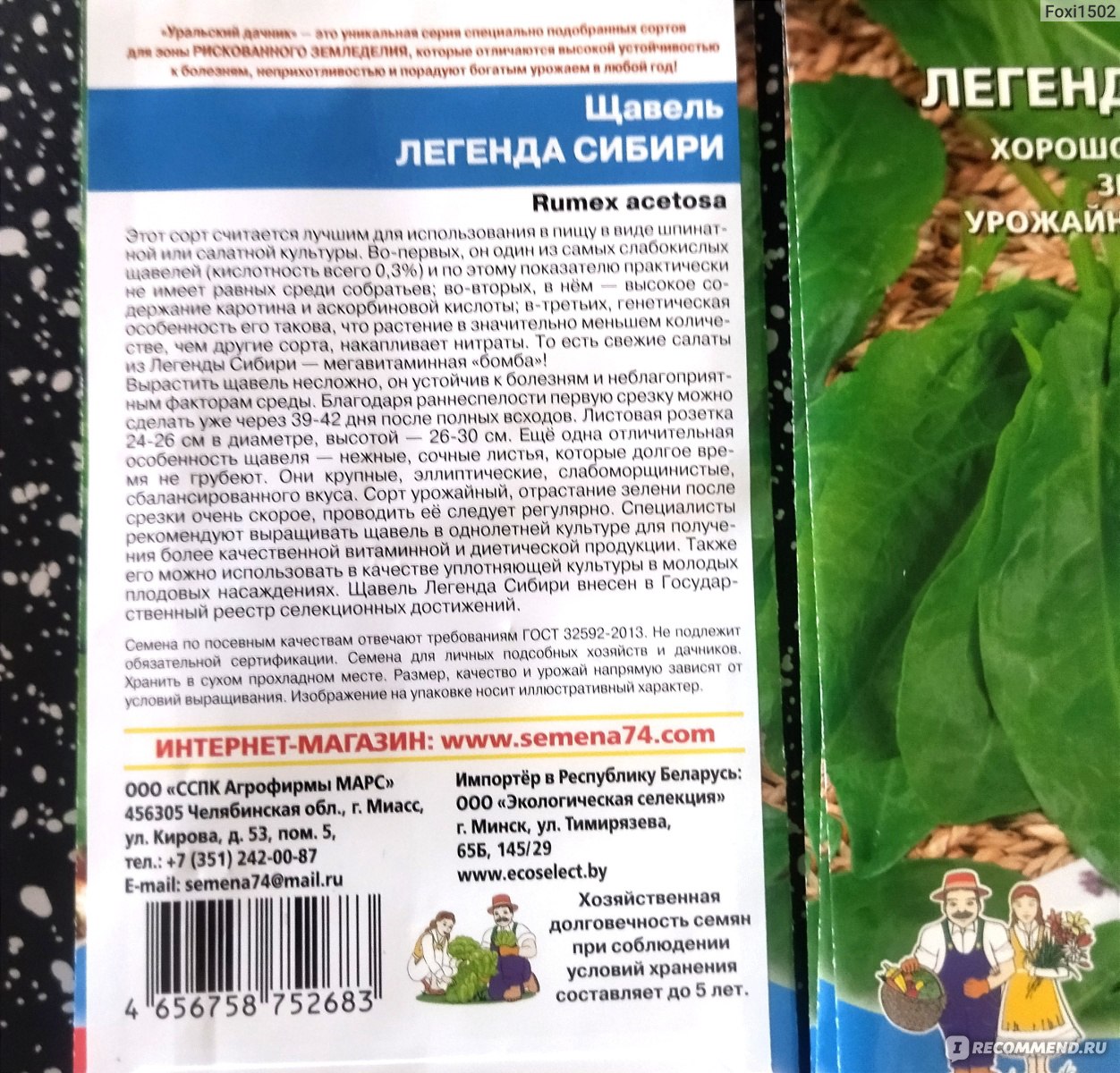 Щавель ЛЕГЕНДА СИБИРИ от Уральский дачник. - «Уральский дачник не обманул,  сорт выше всех похвал. ЛЕГЕНДА СИБИРИ это, действительно, мегавитаминная  