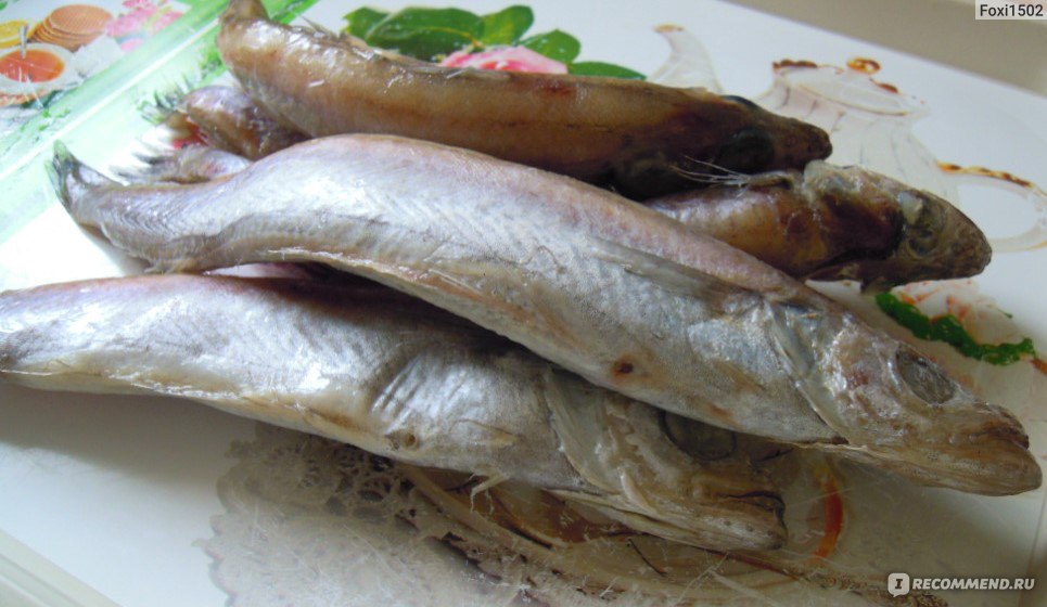 Рыба путассу, как вкусно пожарить на сковороде: рецепты в кляре, в панировке, с луком - биржевые-записки.рф