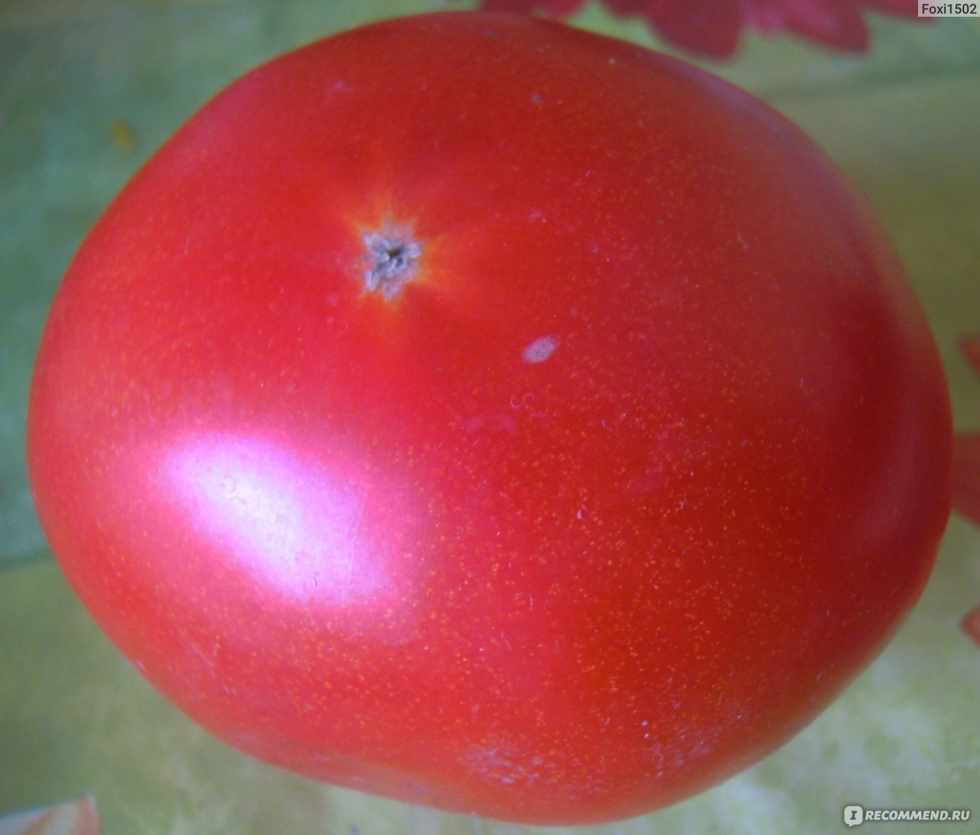 Фото листьев томат президент
