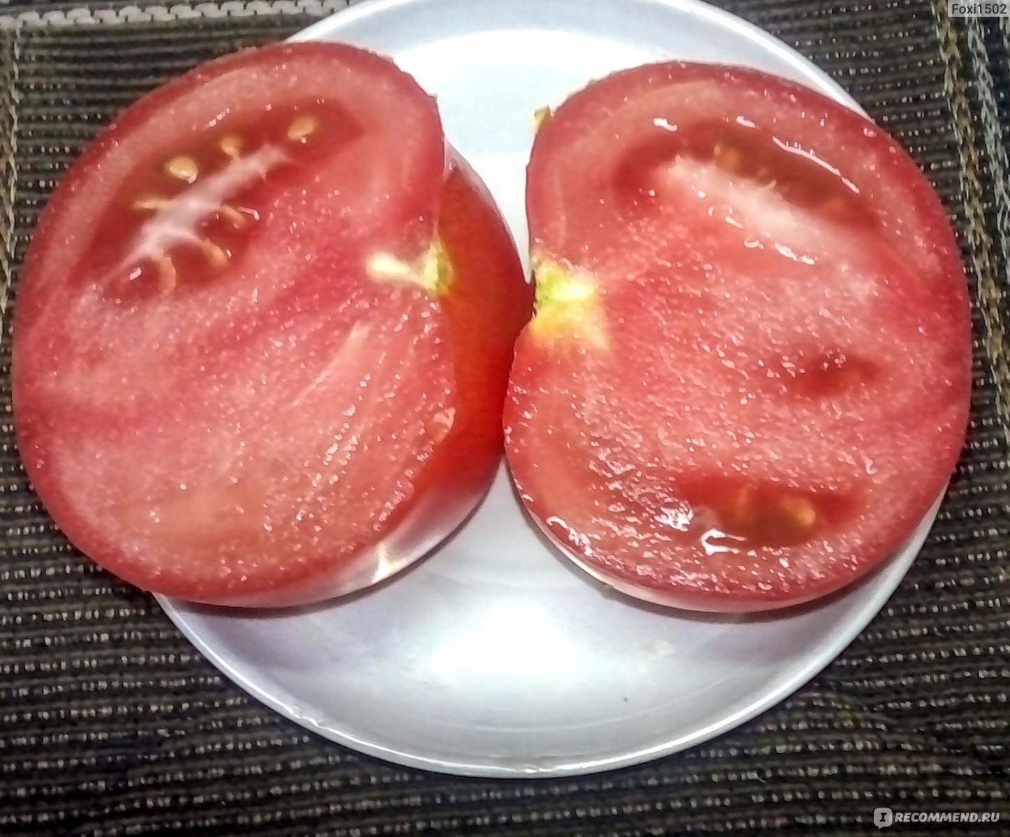 Сорта помидор не подверженные вершинной гнили