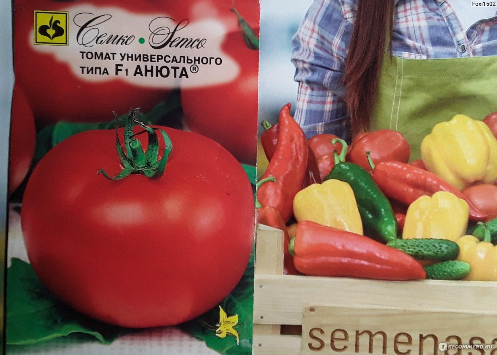 Томат универсального типа F1 АНЮТА от Семко - ��?ЧУДО - СОРТ для самыхзанятых и ленивых огородников?Или 100 кг томатов за один 50 руб. пакетик.»