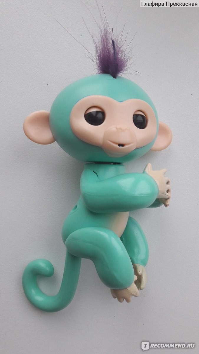 WowWee Fingerlings интерактивная обезьянка - «Оригинальная София и  беспородная Зойка: станут ли подружками? В чем их отличия и где купить? И  самое главное - стоит ли...» | отзывы