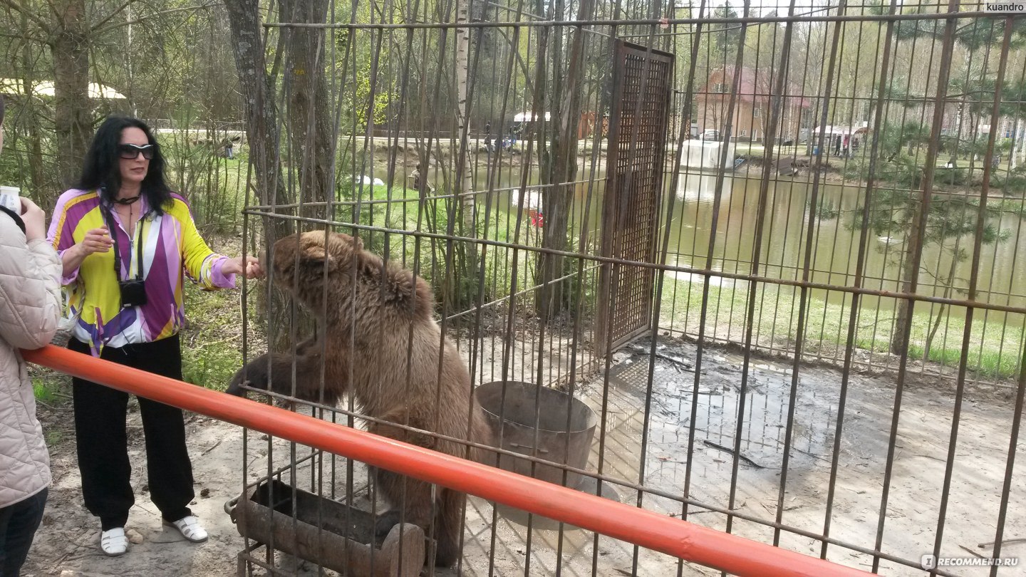 Зообаза нижний новгород