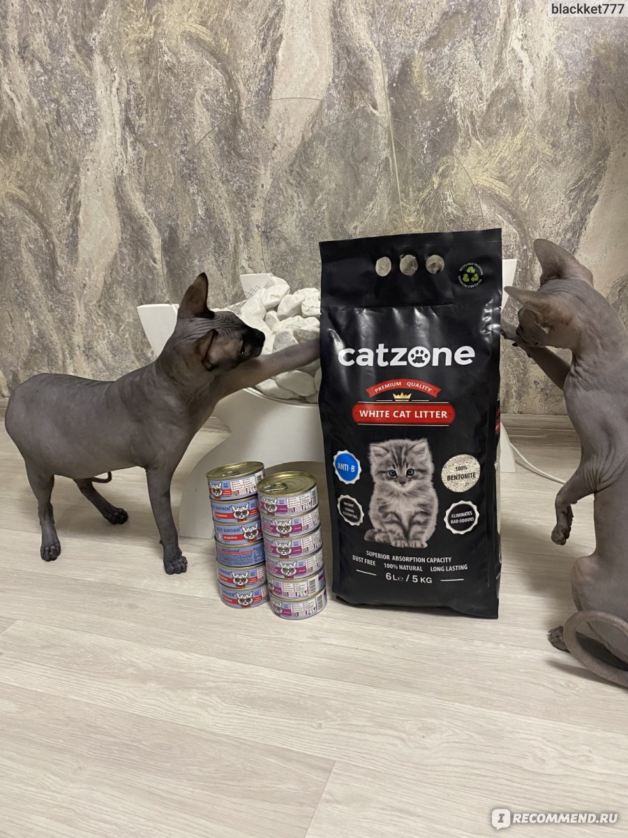 Наполнитель для кошачьего туалета Cat Zone Бентонитовый Antibacterial -  «Хороший наполнитель, без пыли, кот и кошка не разносят его по всей  квартире » | отзывы