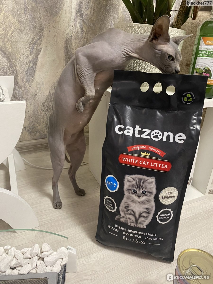 Наполнитель для кошачьего туалета Cat Zone Бентонитовый Antibacterial -  «Хороший наполнитель, без пыли, кот и кошка не разносят его по всей  квартире » | отзывы