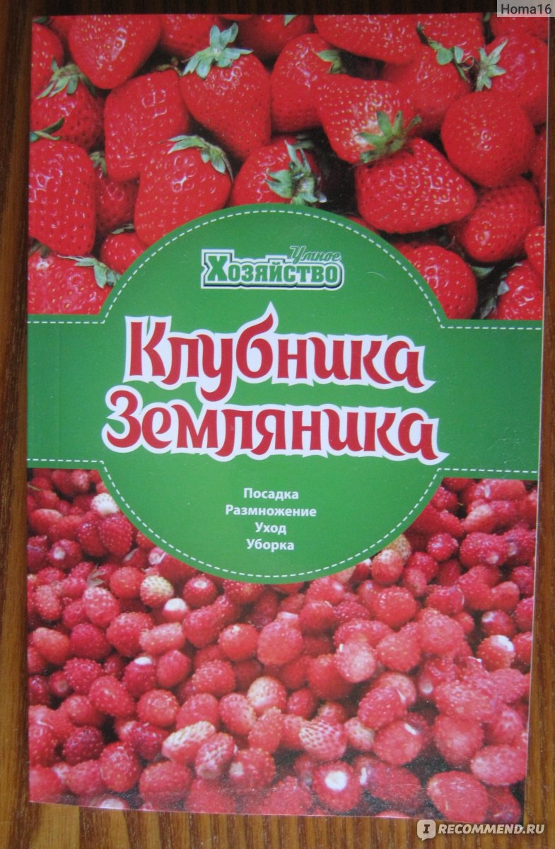 Клубника. Земляника. Издательский Дом Лотос - «Сомнительный труд нерадивых  копирайтеров» | отзывы