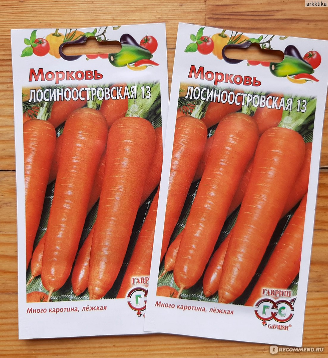 Морковь Лосиноостровская описание сорта, урожайность, фото и отзывы