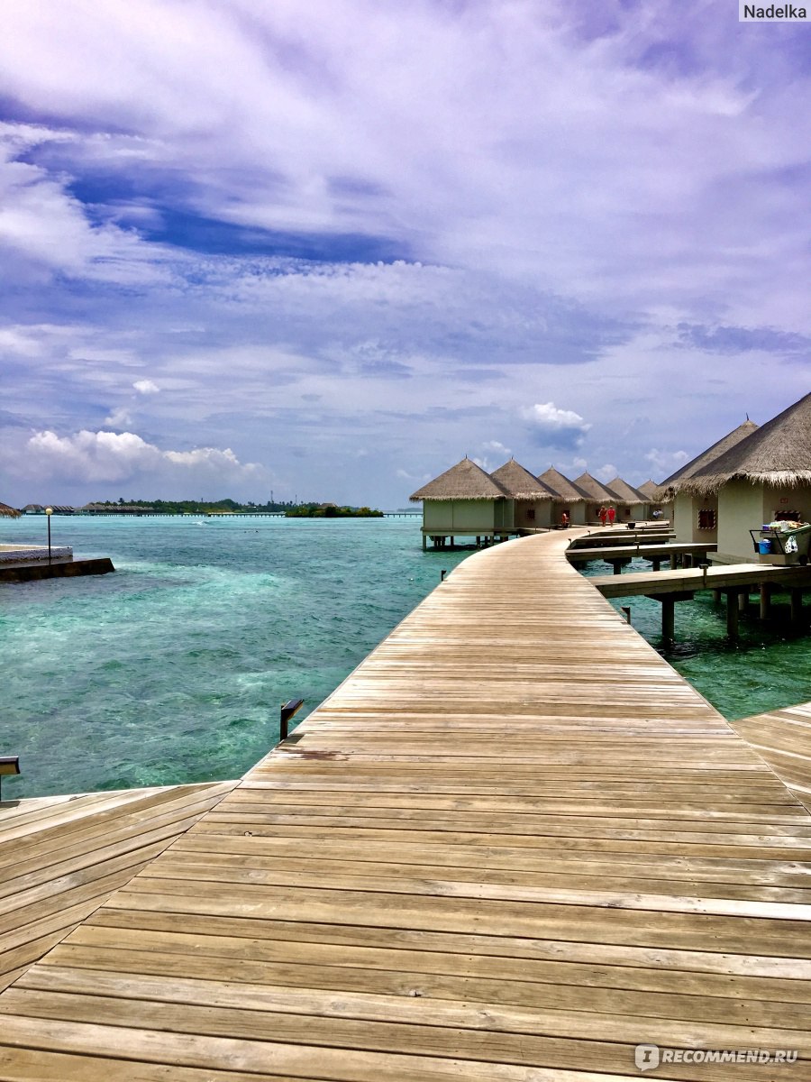 Отдых на Мальдивах: сколько стоит, когда ехать и чем заняться на райских островах