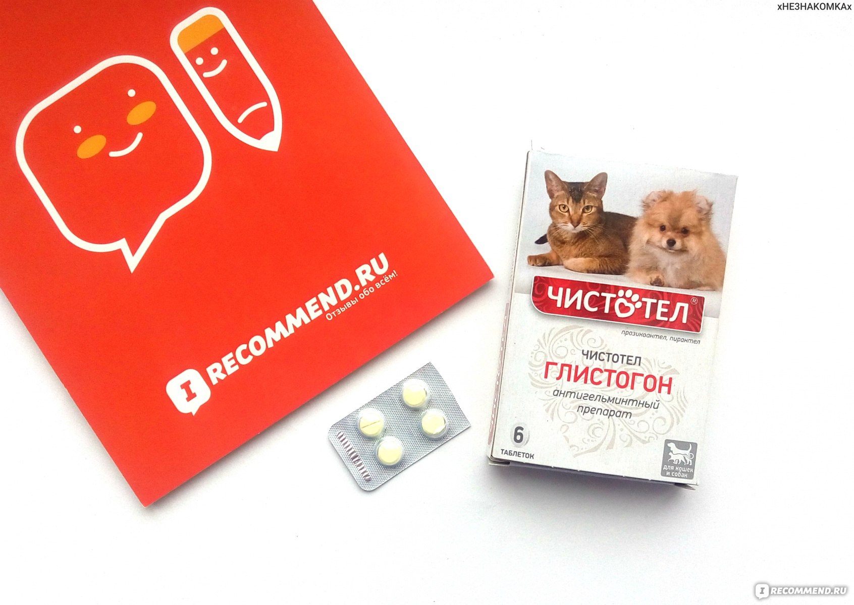 как сделать препарат глистогон для кошек отзывы