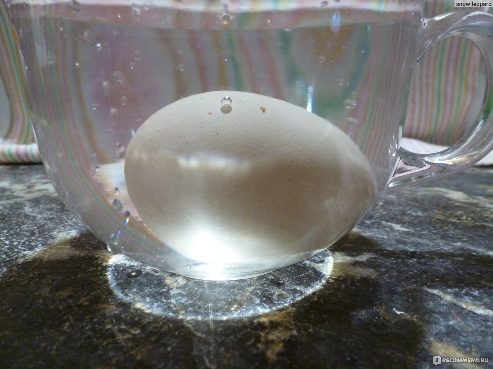 яйцо в стакане с водой фото
