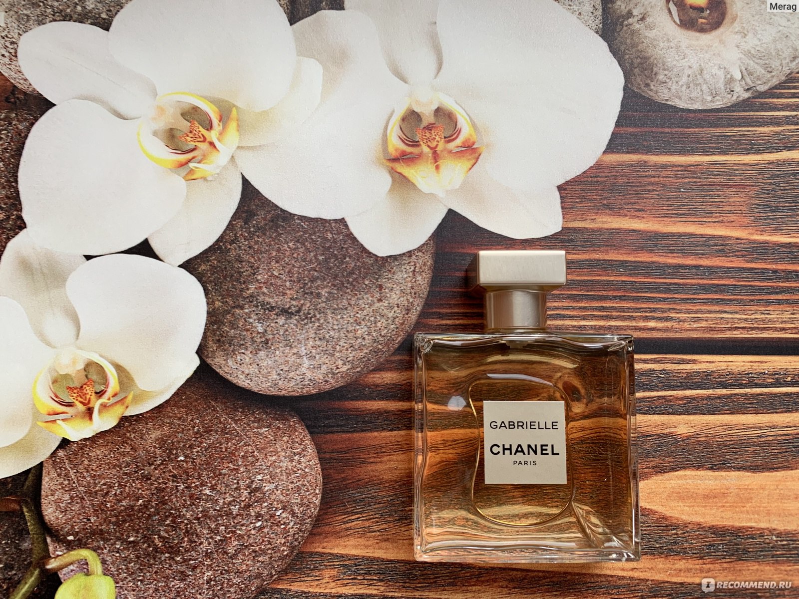 Chanel Gabrielle