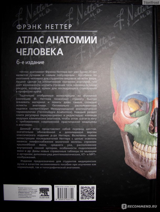 Атлас фрэнк. Фрэнк Неттер анатомия 6 издание. Атлас Фрэнка Неттера 7 издание. Анатомия Фрэнка Неттера. Атлас анатомии Фрэнк Неттер 6 издание.