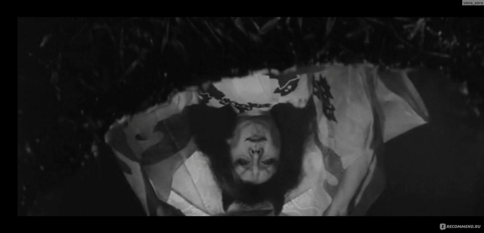 Чёрные кошки в бамбуковых зарослях / Yabu no naka no kuroneko (1968, фильм)  - «Самурай берет все, что хочет или Я плюю на ваши могилы по-японски» |  отзывы