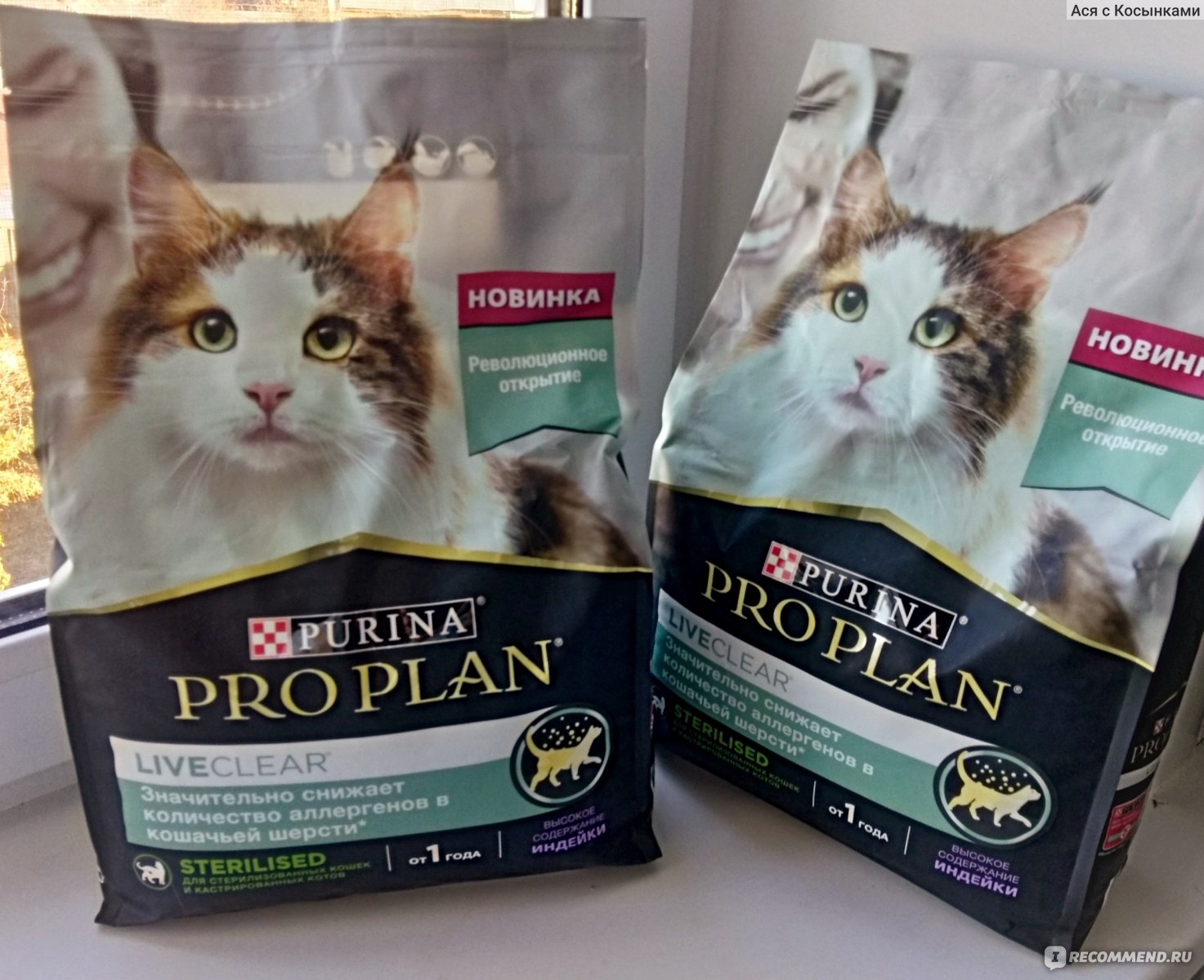 Корм для кошек Purina Pro Plan LiveClear - «Pro Plan LiveClear - корм,  созданный помогать людям с аллергией на шерсть. Но помогает ли? Отзыв  аллергика с тремя котами. Состав такой, что нужно