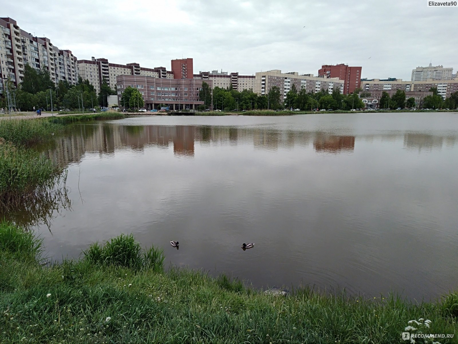 Озеро долгое спб. Озеро долгое Санкт-Петербург. Парк озеро долгое. Петербург озеро долгое. Парке «озеро долгое».