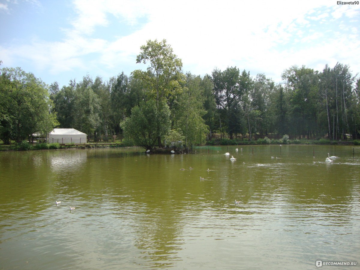 Сормовский парк 2000