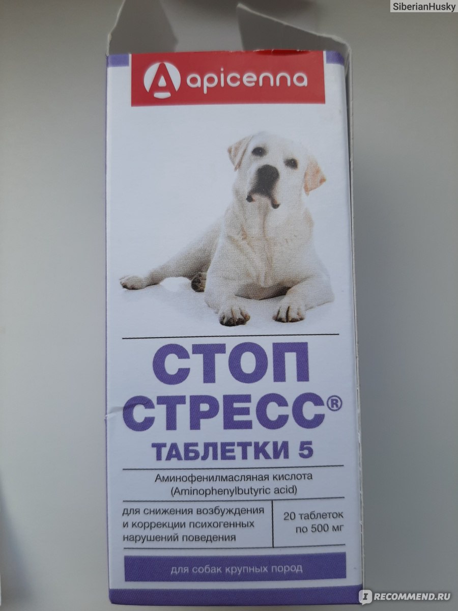 Таблетки для успокоения собак. Успокоительные таблетки для собак средних пород от агрессии. Успокоительные таблетки для собак средних пород. Успокаивающие таблетки для собак кобелей. Успокоительное для щенков.