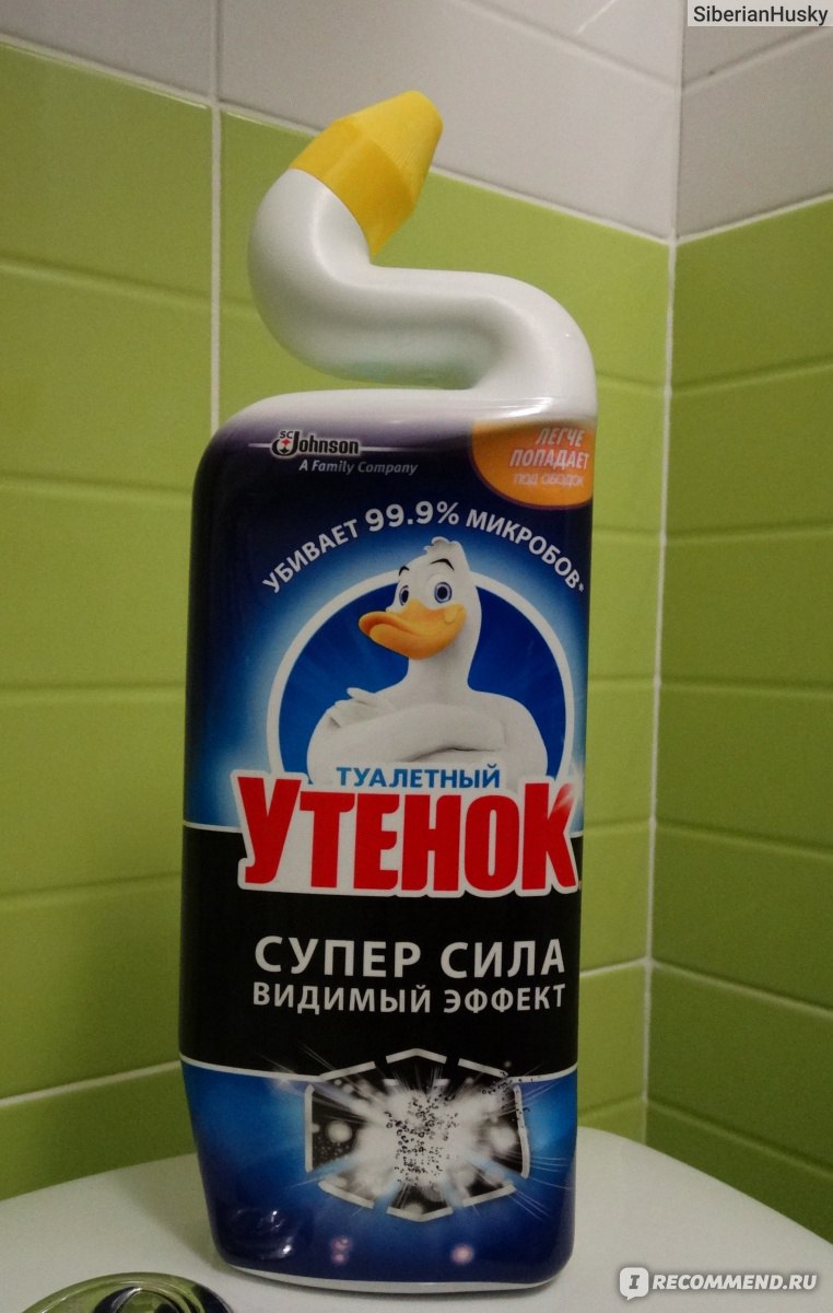 Черный туалетный утенок фото