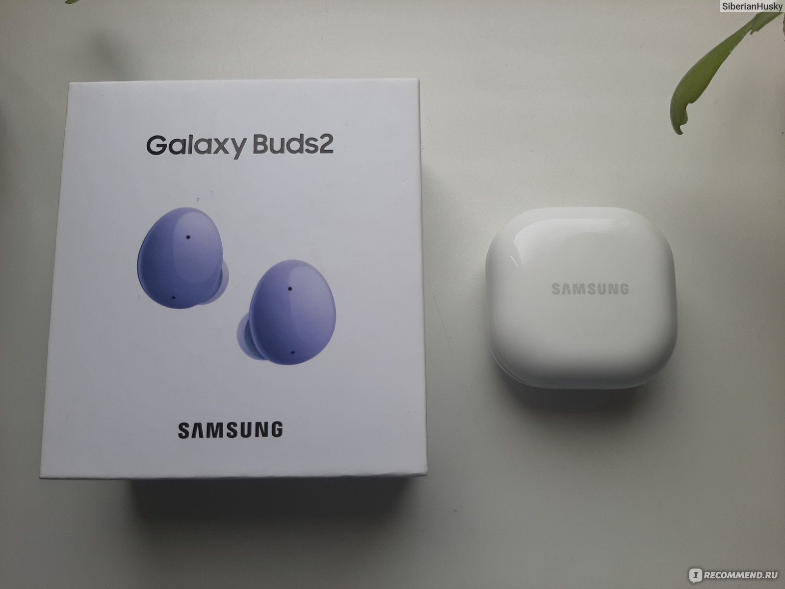 Беспроводные наушники Samsung Galaxy Buds 2 - «Мои руки свободны с  беспроводными наушниками Samsung Galaxy Buds2.» | отзывы