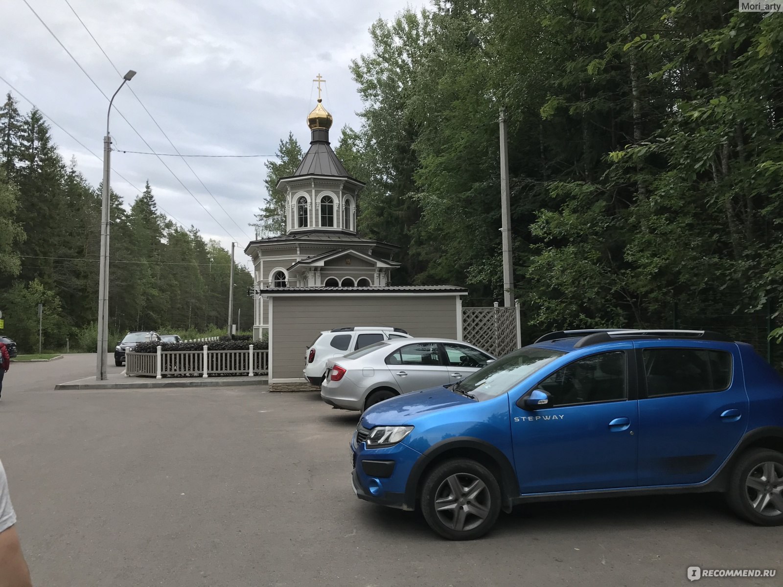 Государственный природный заказник Озеро Щучье, посёлок Комарово,  Санкт-Петербург - «Чистый воздух, красивая природа, грибы и ягоды.  Идеальное место для пеших и велосипедных прогулок. В часе езды от  Петербурга ♥» | отзывы