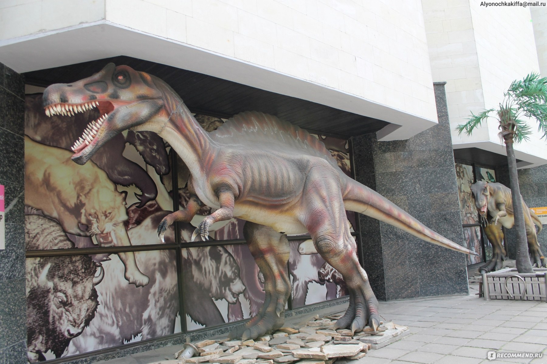 дарвиновский музей динозавры фото