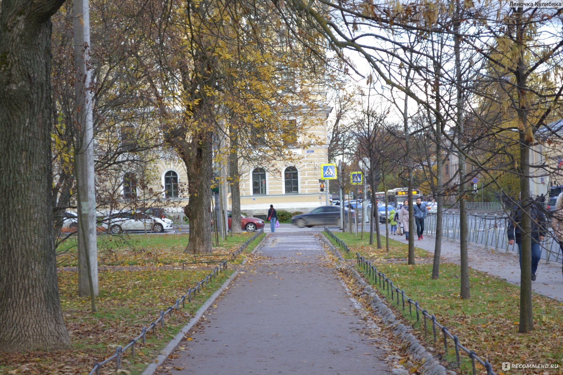 Пушкин центр города