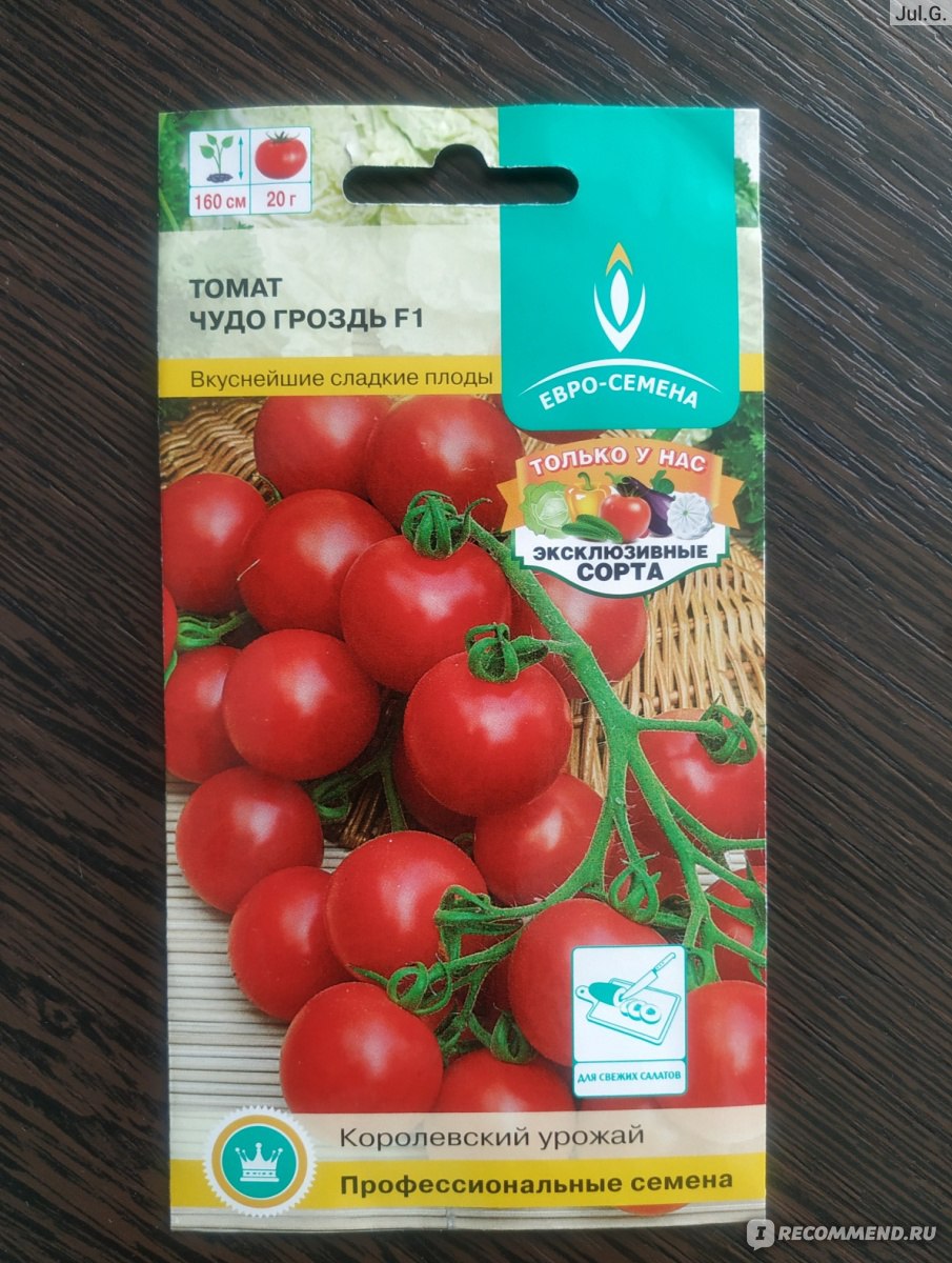 помидоры маруся фото