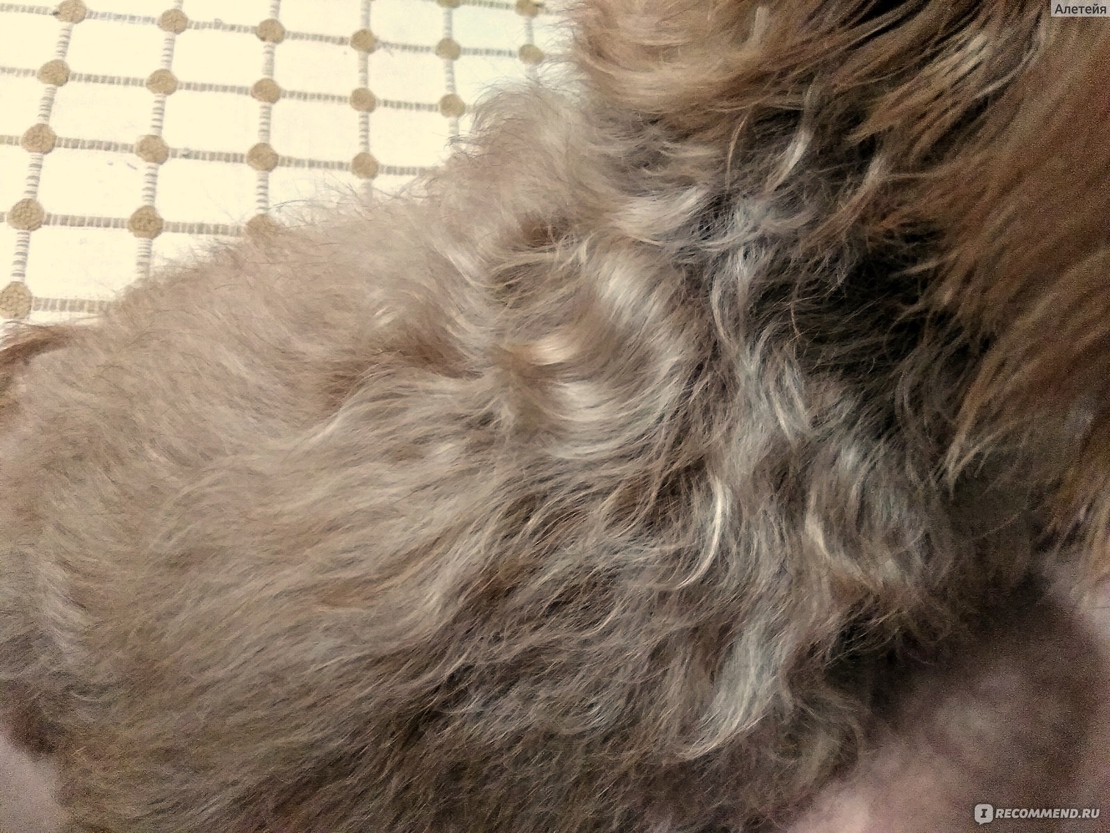 Как удалить остевой волос у собаки