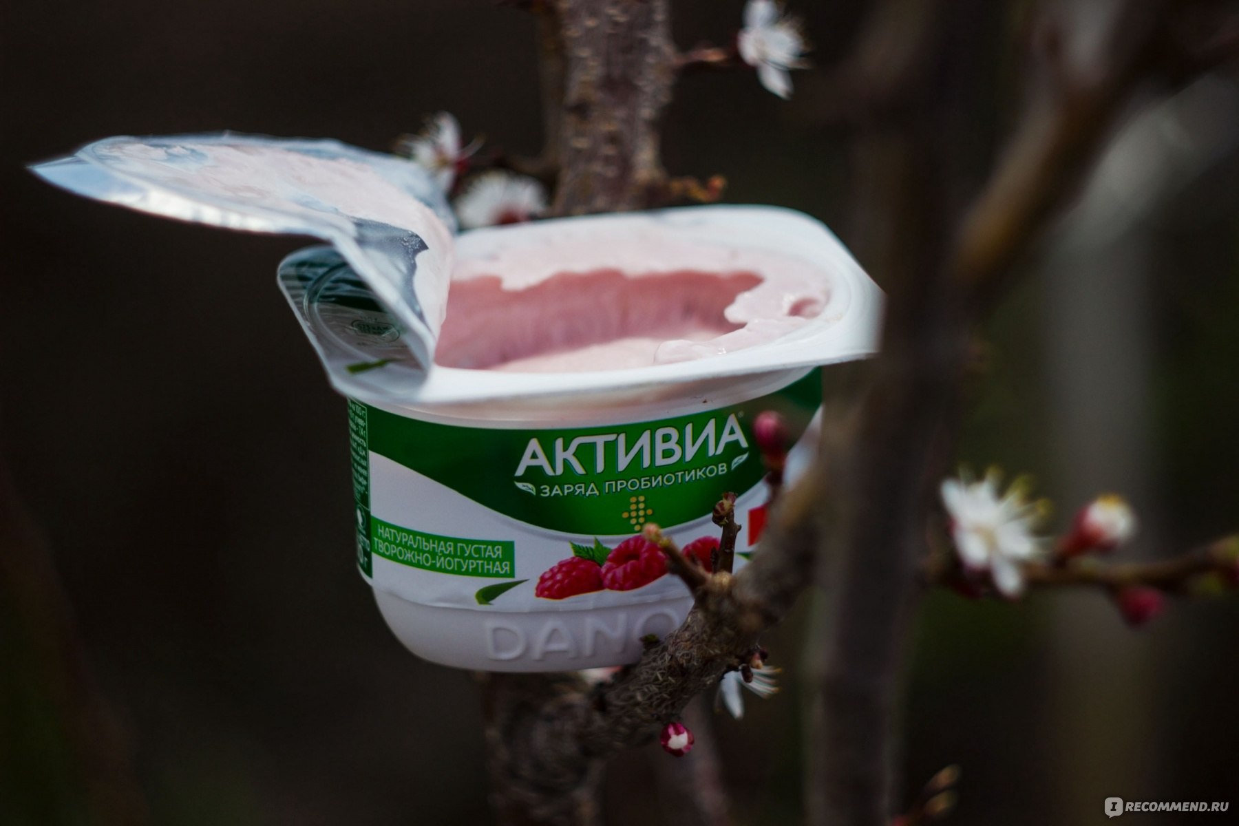 Йогурт Danone Активиа творожная Малина - «Замороженный творожный йогурт с  малиной и красота природы » | отзывы