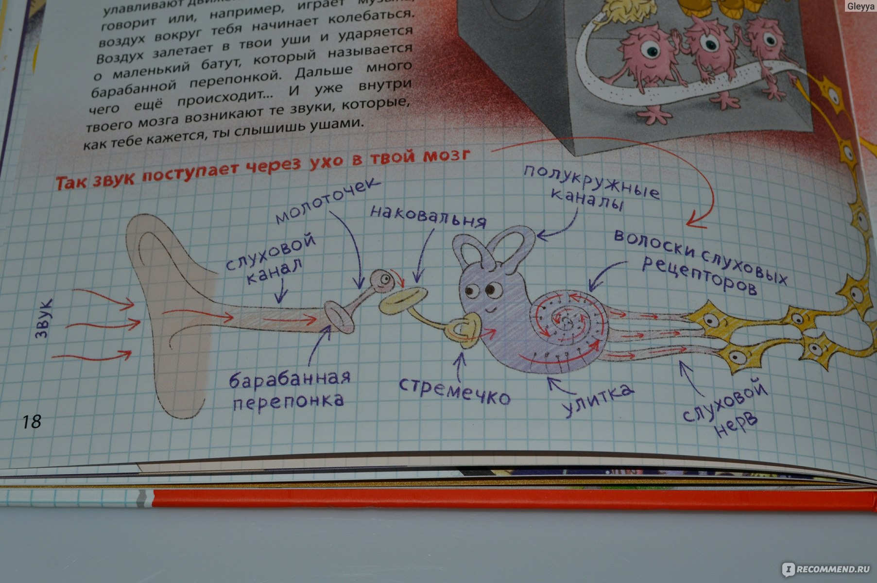 Международный проект нейрончик