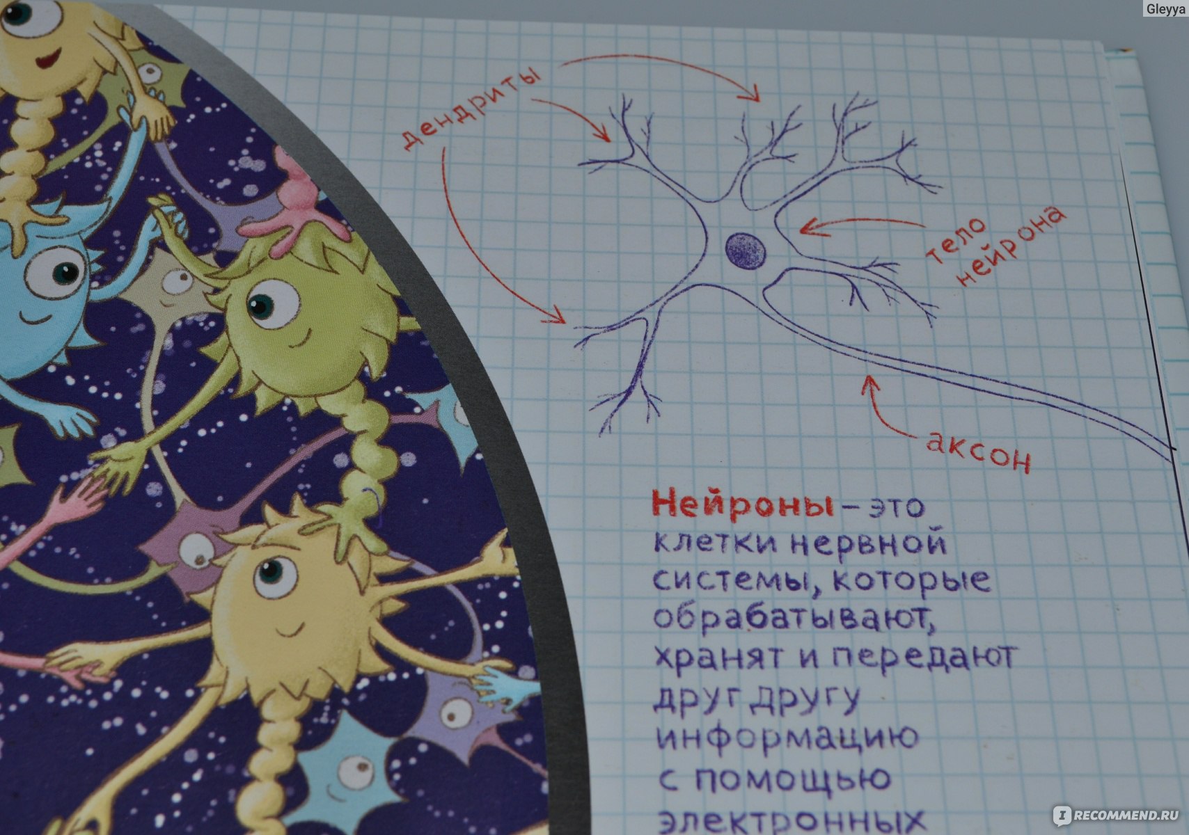 Международный проект нейрончик