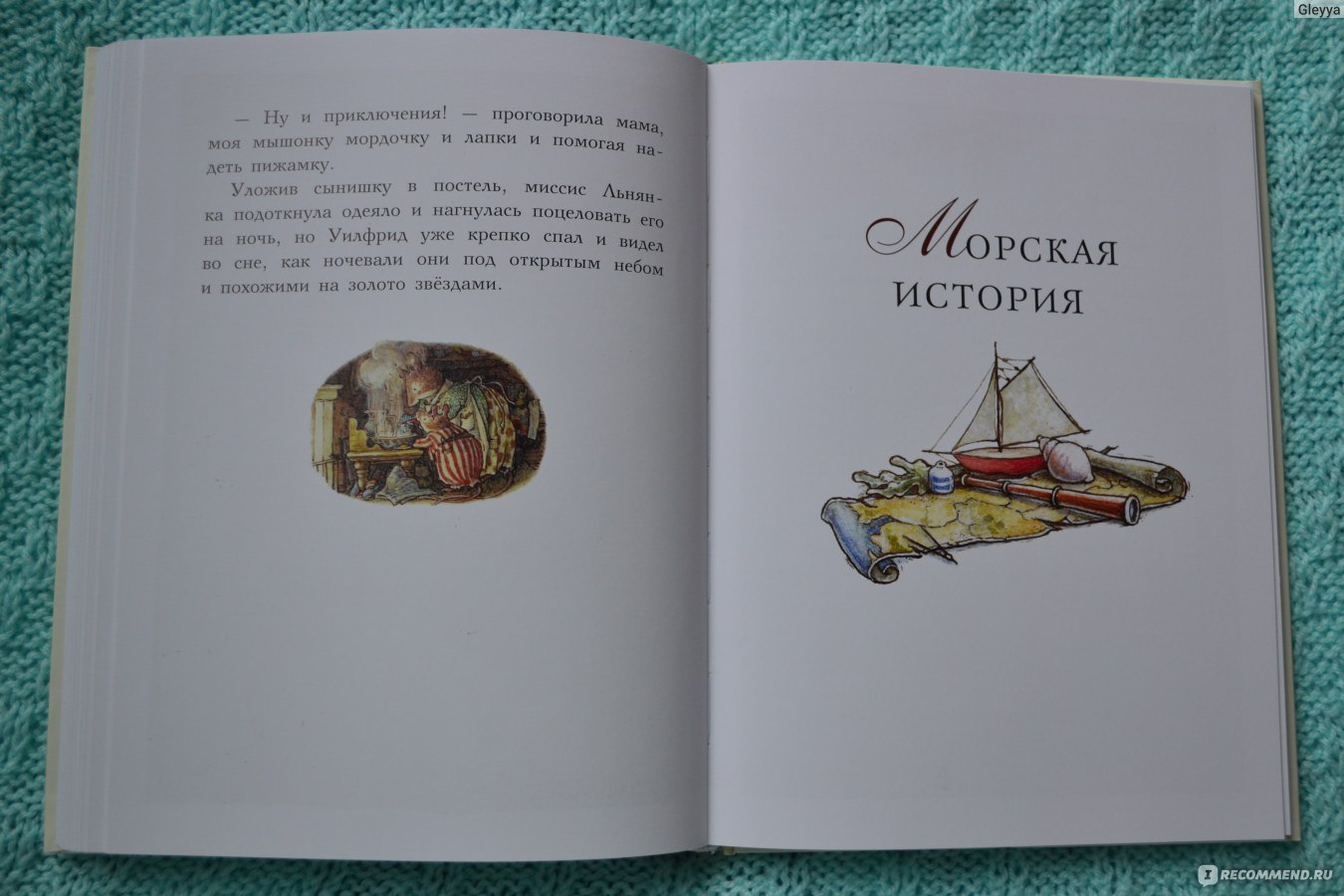 Сказки и истории ежевичной поляны. Джилл Барклем - «Еще одна красиво  иллюстрированная английская история для поклонников сказок Лисьего леса.  Подробности и много фото страниц.» | отзывы