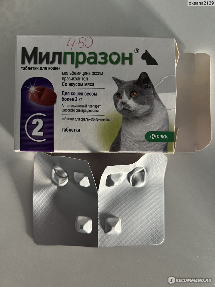 Милпразон для кошек отзывы