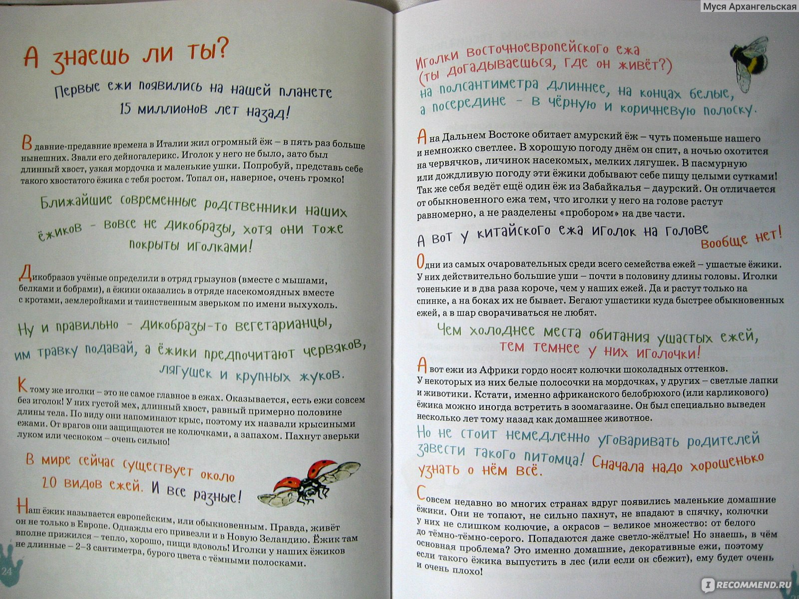 Я ёж. Майя Кучерская - «Я был голый, розовый, совсем без иголок и жил в  черноте... (с)» | отзывы