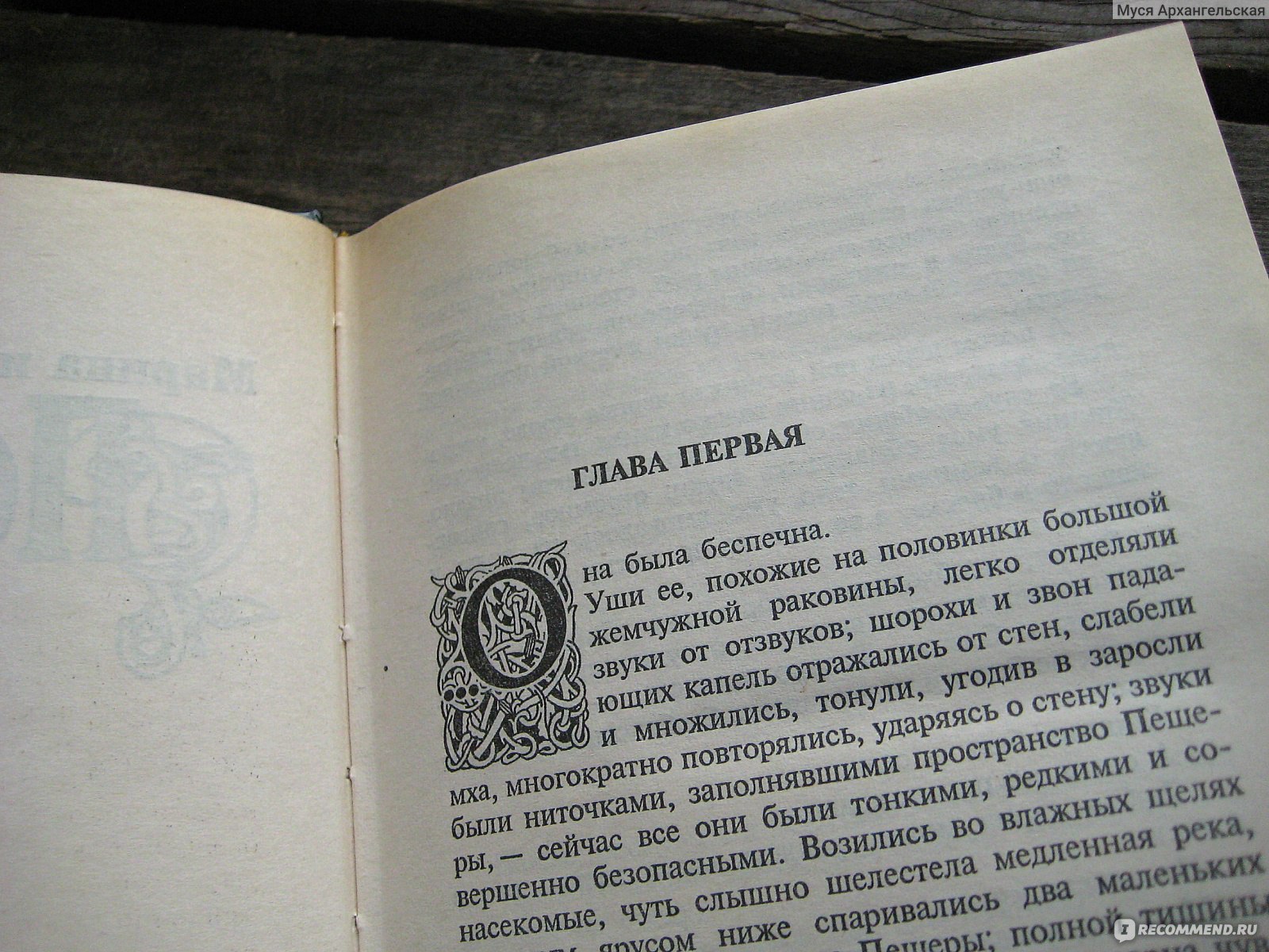 Пещера. Марина И Сергей Дяченко - «Хороша и ладна жизнь без насилия, черт  возьми! Пещера - хороший роман и средняя антиутопия. А кто в Пещеры ты?» |  отзывы