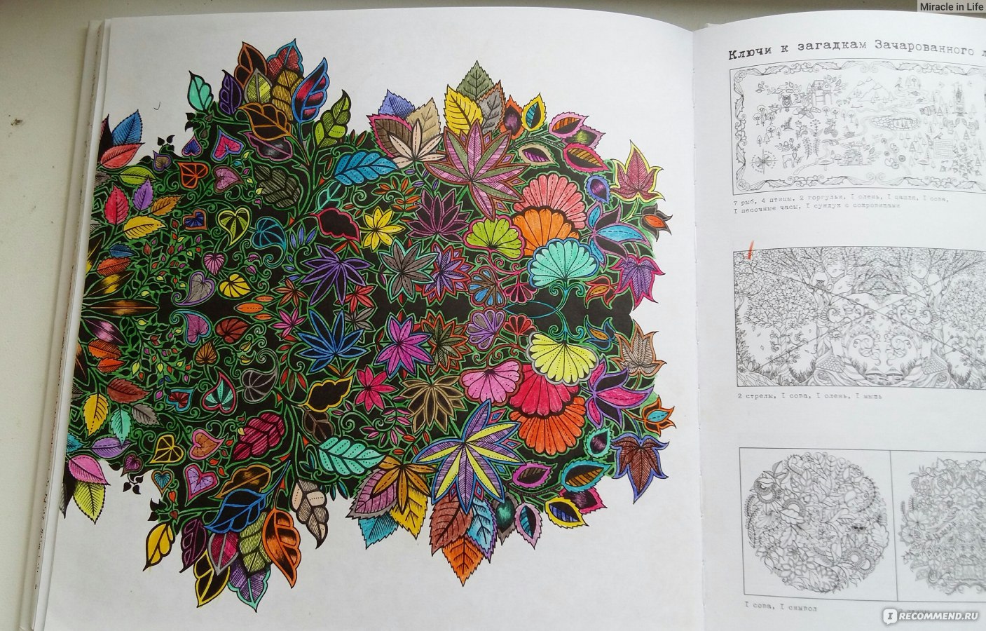 Джоанна Басфорд мир цветов Раскрашенные страницы