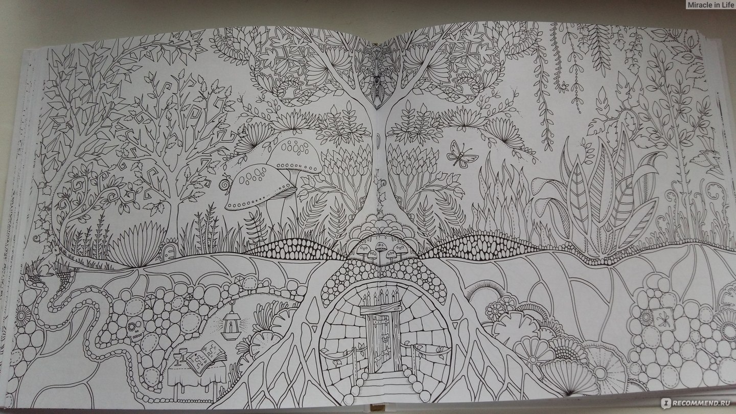 Раскраска джоанна басфорд зачарованный лес