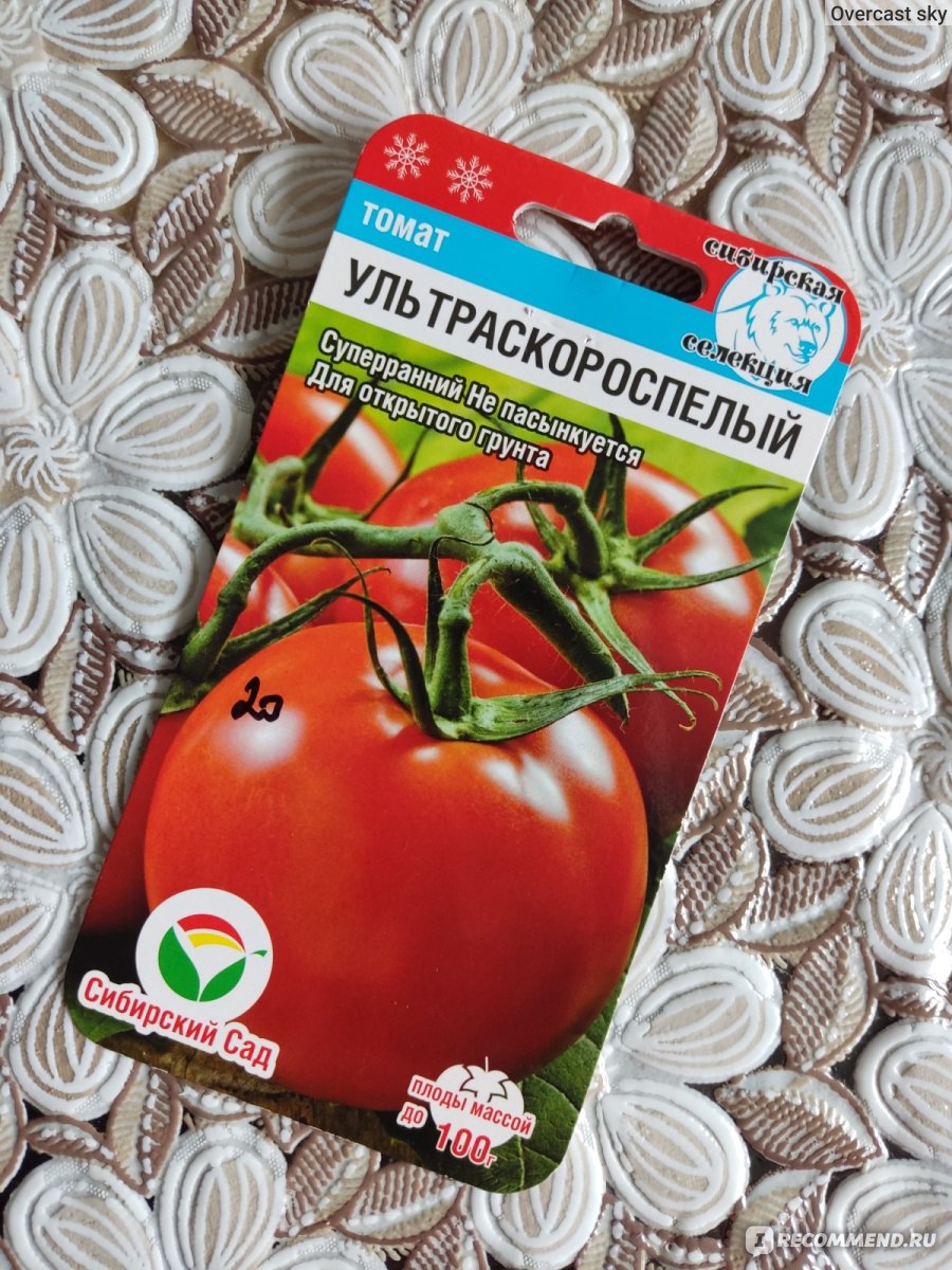 Томат Ультраскороспелый (Сибирский сад) - «Суперранний сорт томата дляоткрытого грунта »