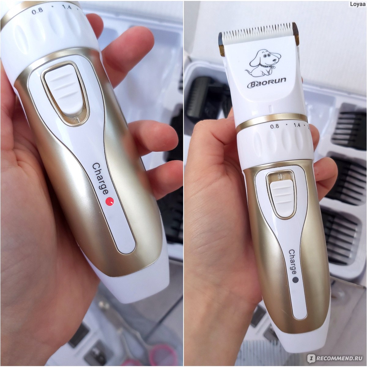 Триммер для животных BaoRun Professional Pet electric clipper P3 фото