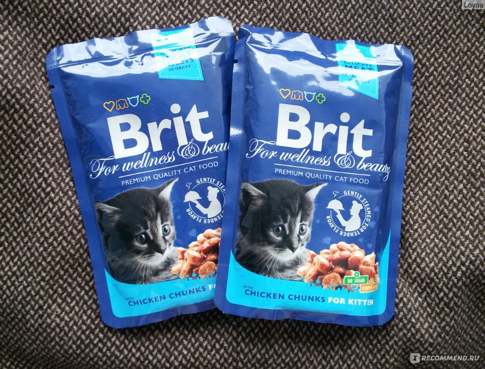 Сухой корм брит отзывы. Корм Брит премиум для кошек. Корм Брит для котят сухой. Brit синенький для кошек. Brit Premium Cat Kitten 2 кг.
